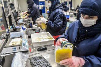 Dia Mundial da Hemofilia: campanha reforça importância do diagnóstico