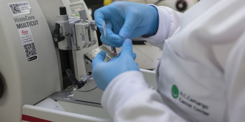 Nova lei amplia acesso a terapias e vacinas contra o câncer no SUS