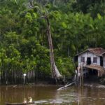 Projeto leva tratamento gratuito a doenças negligenciadas no Amazonas