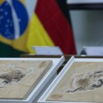 Brasil quer recuperar dinossauros e patrimônios espalhados por 14 país
