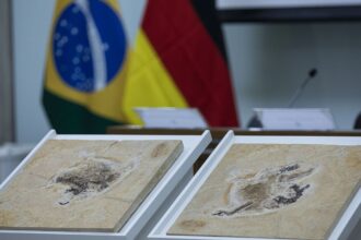 Brasil quer recuperar dinossauros e patrimônios espalhados por 14 país