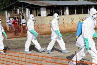 Cruz Vermelha lamenta mortes de voluntários no Congo devido ao Ebola
