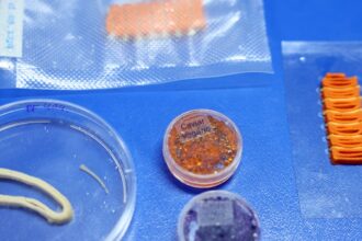 Embrapa produz em laboratório salmão, caviar e anéis de lula veganos