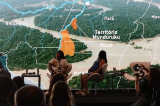 Contaminação por mercúrio coloca gestantes e bebês Munduruku em risco