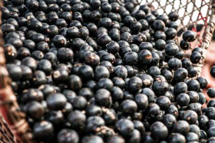 China facilita exportação de polpas e frutas congeladas brasileiras