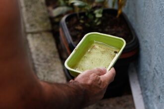 El Niño pode aumentar casos de chikungunya e dengue no Brasil
