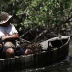 INSS paga em julho R$ 874 milhões a 149 mil pescadores