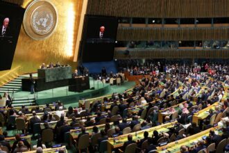 Brasil no Mundo desta quinta debate multilateralismo e desafios da ONU