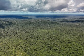 Fazenda autoriza crédito de US$ 1 bilhão do BID para Eco Invest Brasil