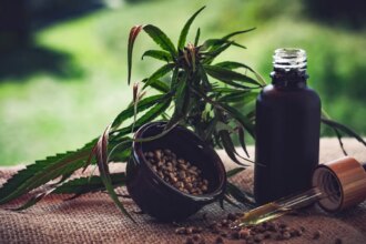 Para associações, normas ainda deixam pontos em aberto sobre cannabis