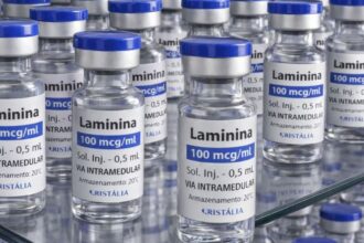 Testes clínicos fase 1 da polilaminina começam este mês
