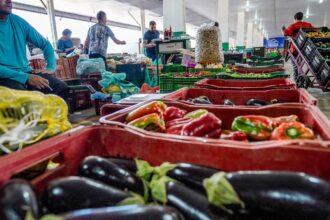 Campanha busca engajamento para reduzir desperdício de alimento