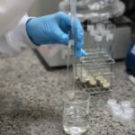 Doença de Newcastle: protocolos sanitários são cumpridos em SC