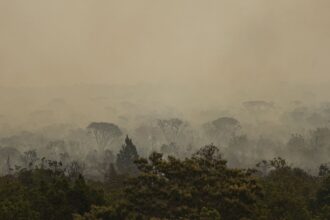 Força Nacional do SUS apoia atendimentos no Amazonas após incêndios