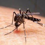 Mudanças climáticas já causam aumento de doenças infecciosas no país