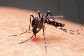 Mudanças climáticas já causam aumento de doenças infecciosas no país